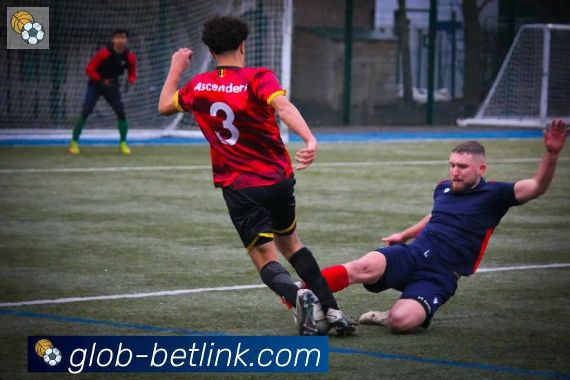 新葡京博彩官网平台生态图