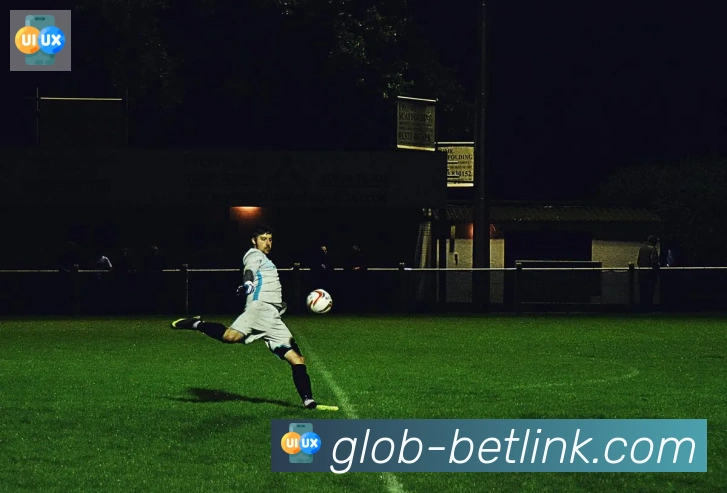 新葡京博彩官网APP 封面图