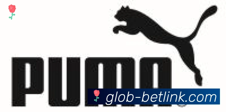 新葡京博彩官网合作伙伴